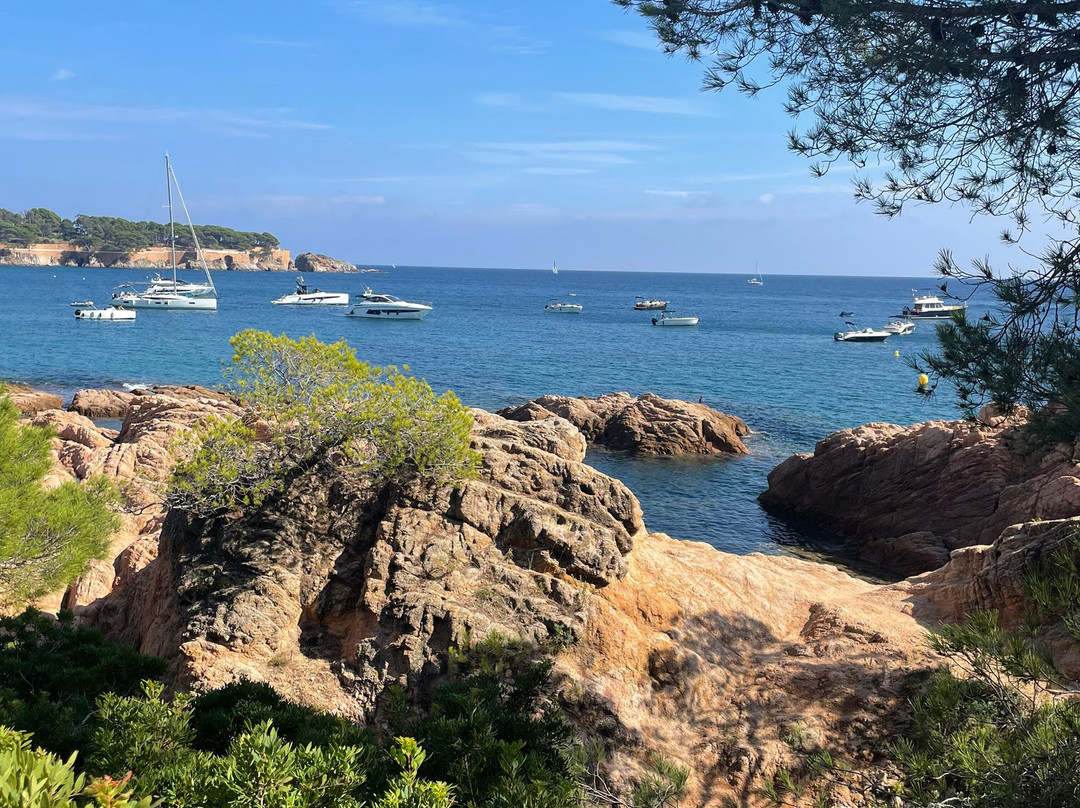 范德瓦尔克船歌酒店主图