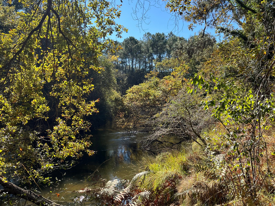 coeur2nature-Salles必去景点