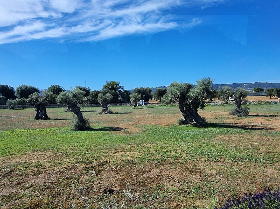Masseria Don Luigi - Luxury Farmhouse主图