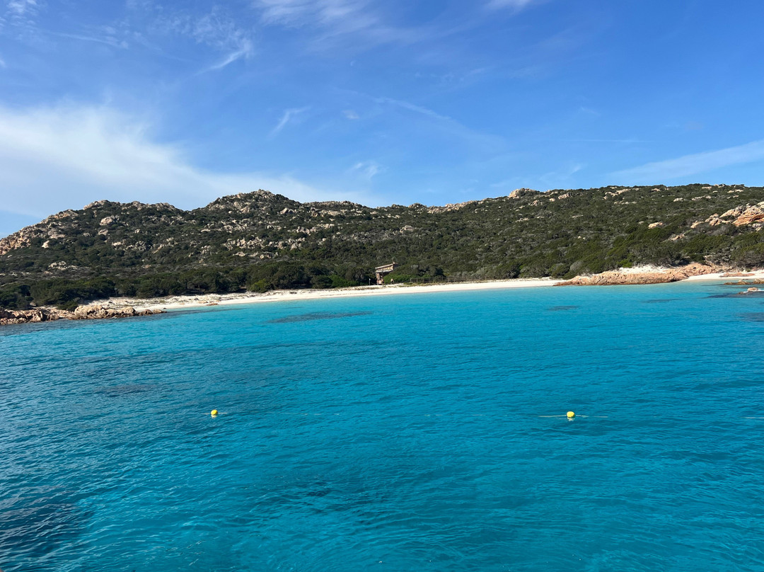 Motonave Petagus-帕劳必去景点