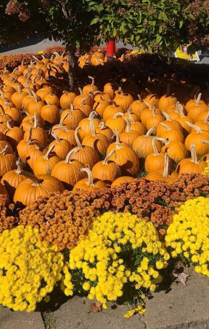 Story Land-Glen必去景点