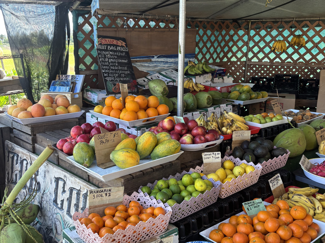 Aloha Shaka Tours-火奴鲁鲁必去景点