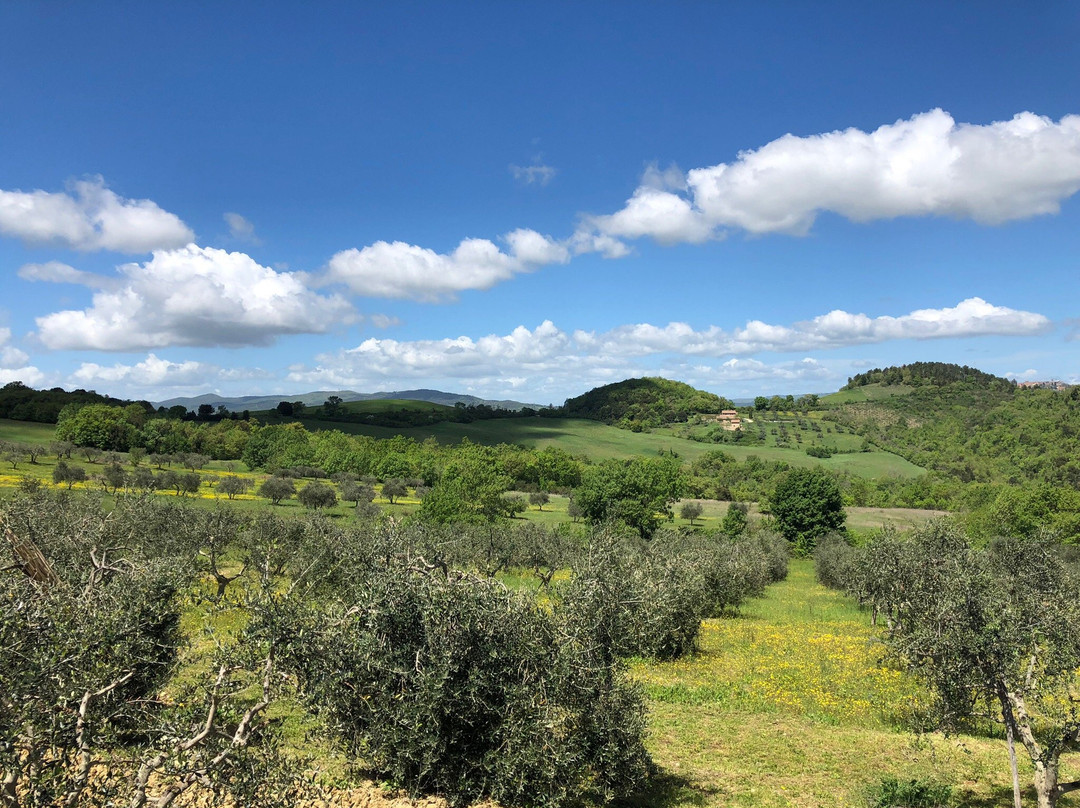 Agriturismo Cielsereno主图