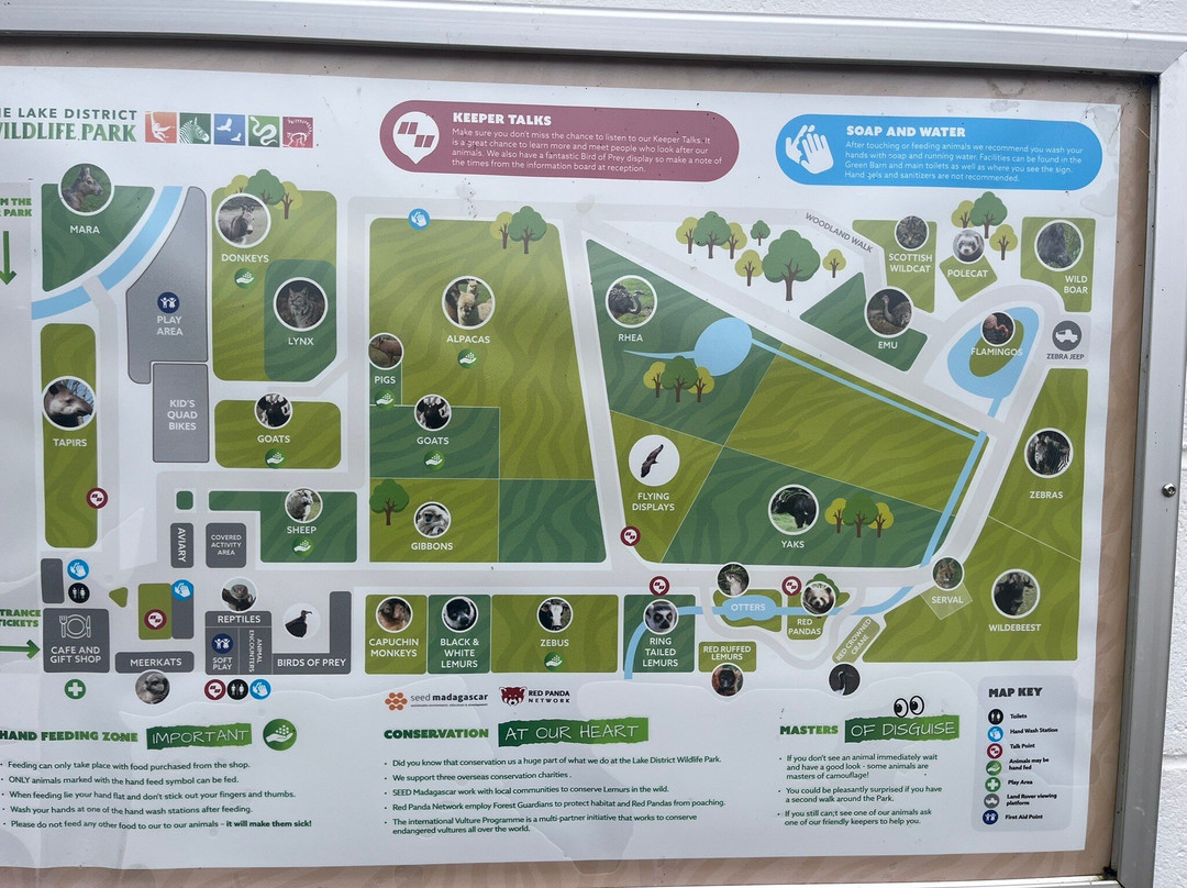 The Lake District Wildlife Park-Bassenthwaite必去景点