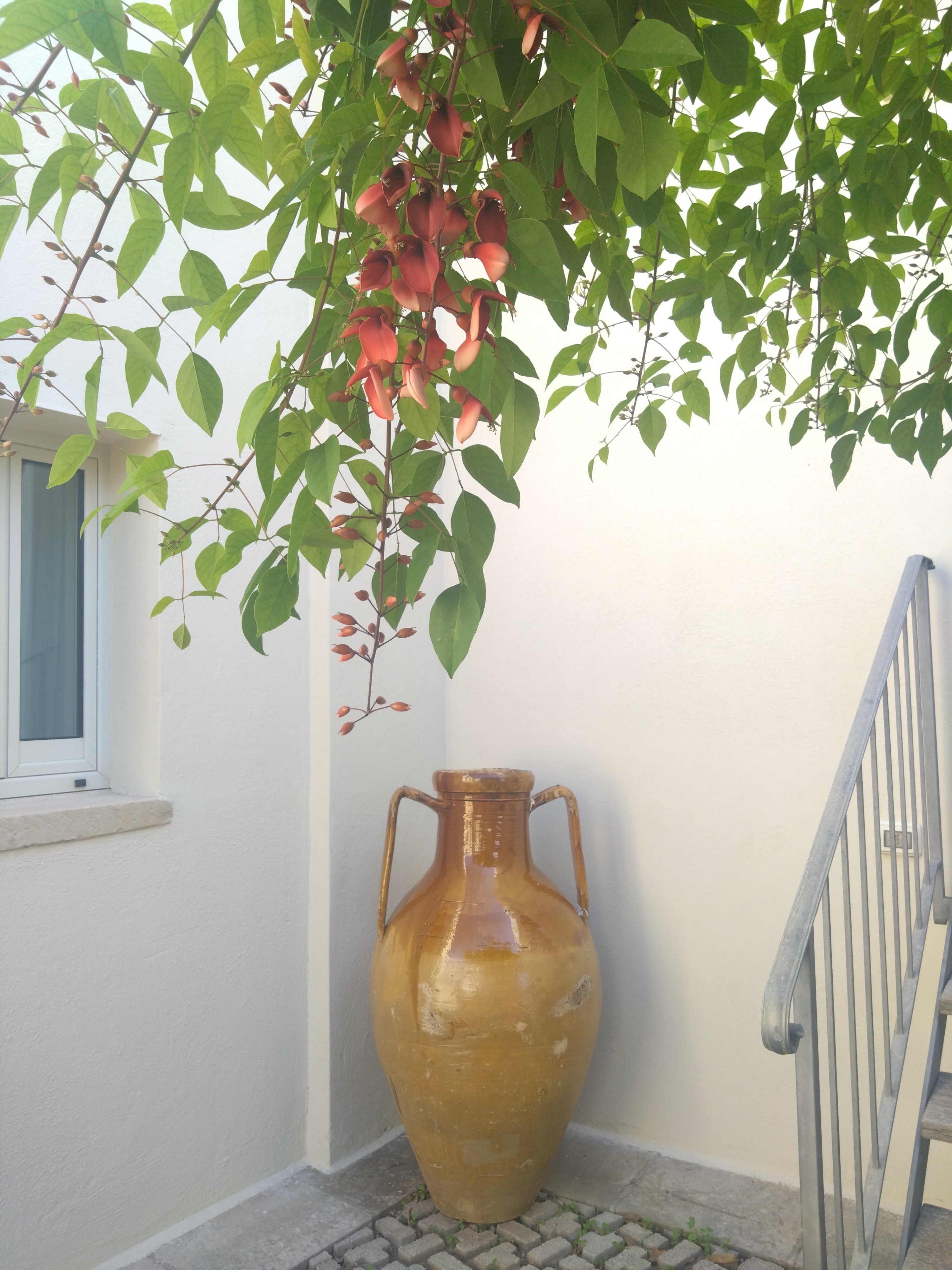 Corte di Nettuno - CDSHotels-官方