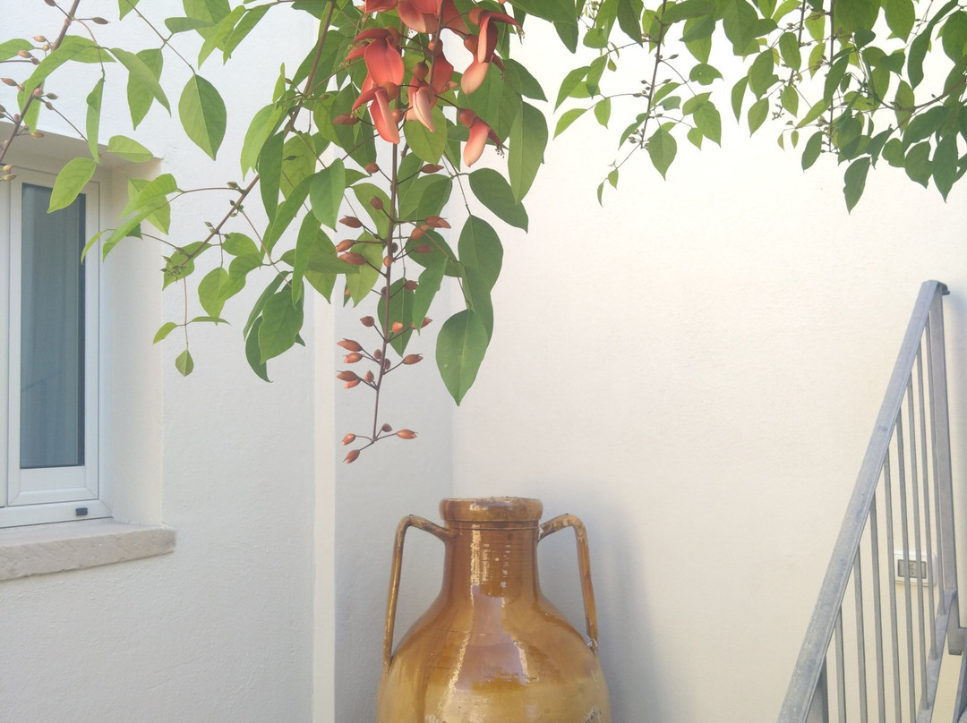 Corte di Nettuno - CDSHotels主图