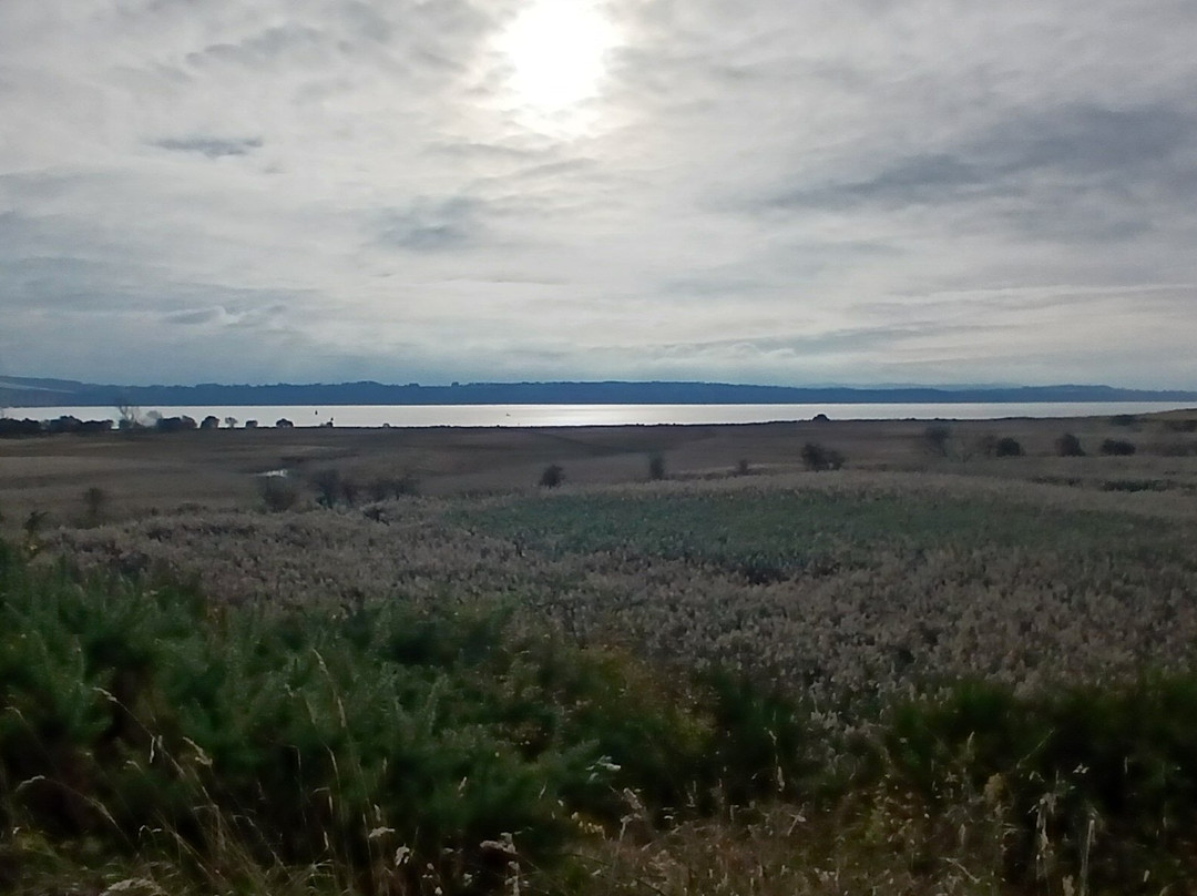 St Margaret's Marsh-北昆斯费里必去景点