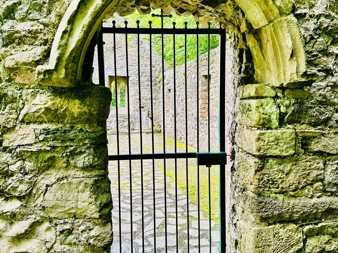 St. Patrick's Well-Clonmel必去景点
