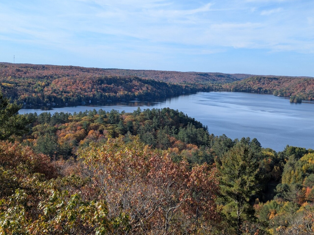 Dorset Scenic Lookout Tower-Dorset必去景点