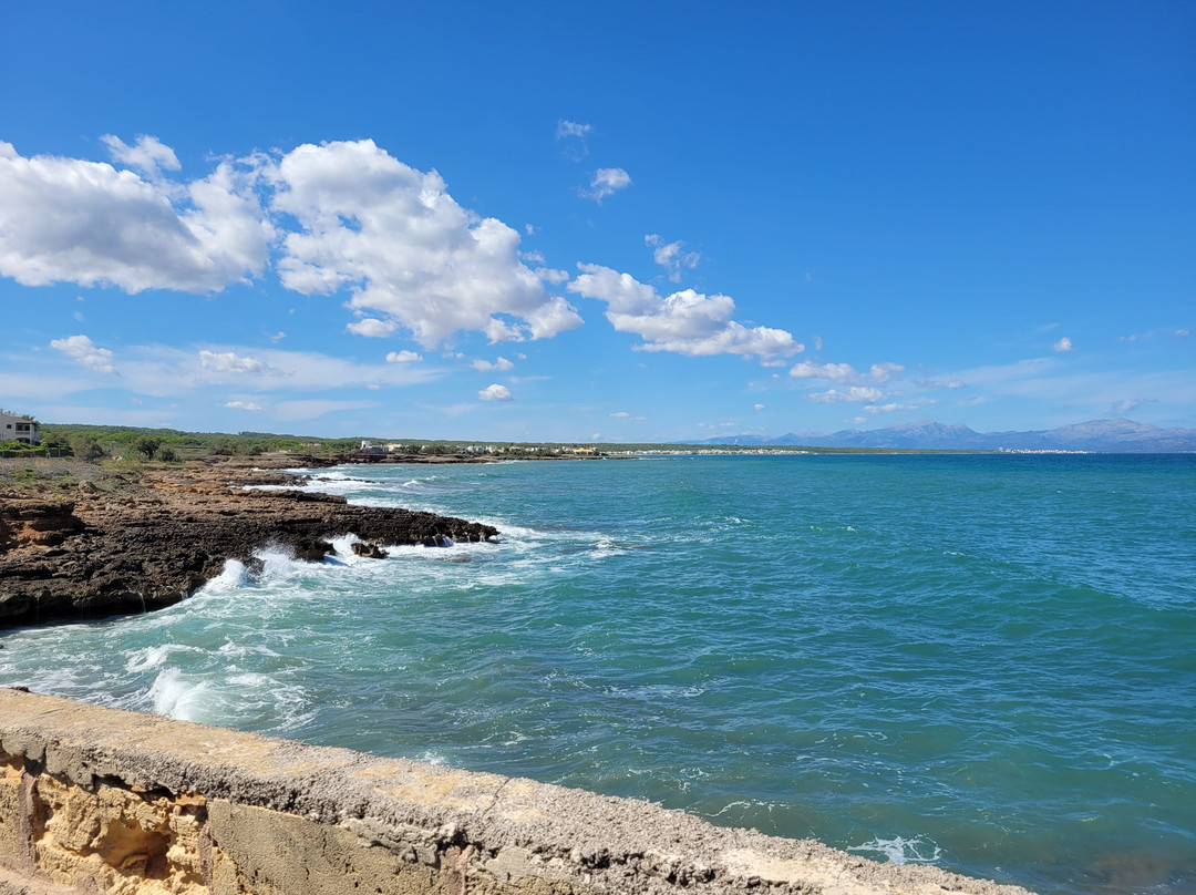 Buggy 4 Fun-Ca'n Picafort必去景点