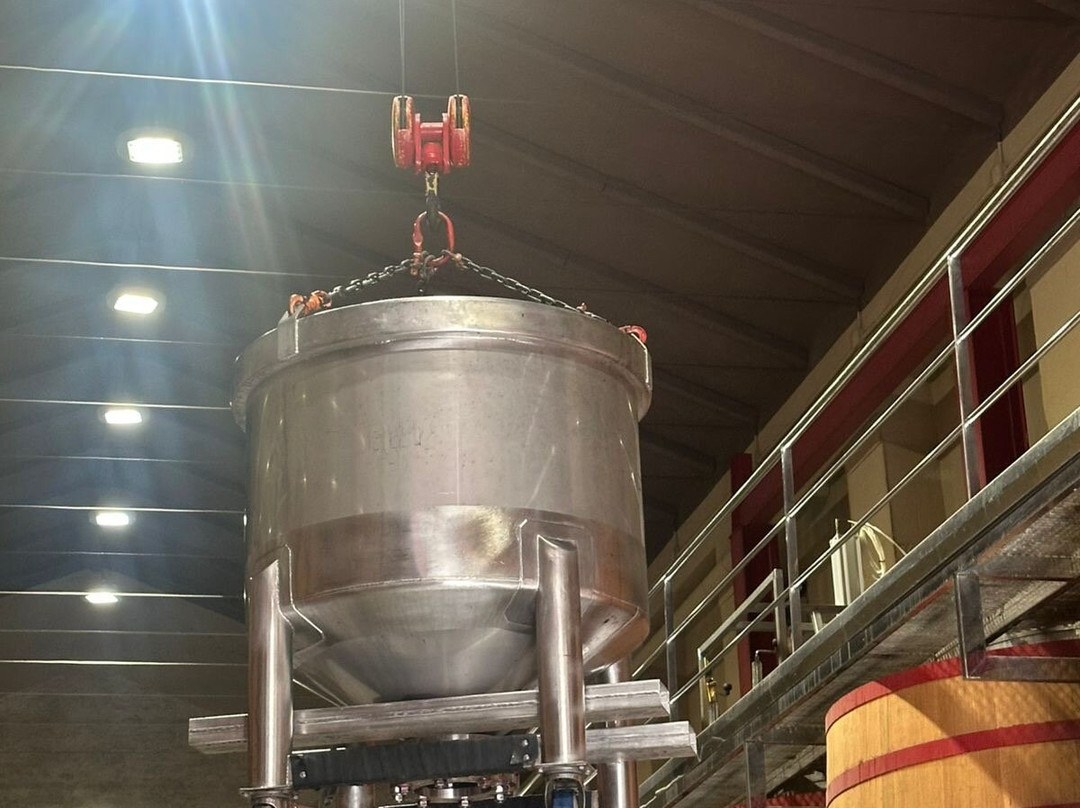 Bodegas Marques de Riscal-Elciego必去景点