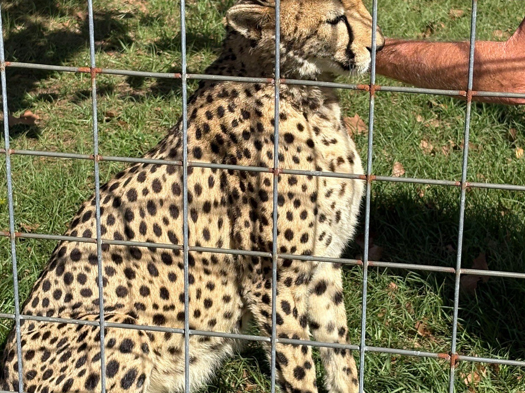 Carson Springs Wildlife Conservation Foundation-盖恩斯维尔必去景点