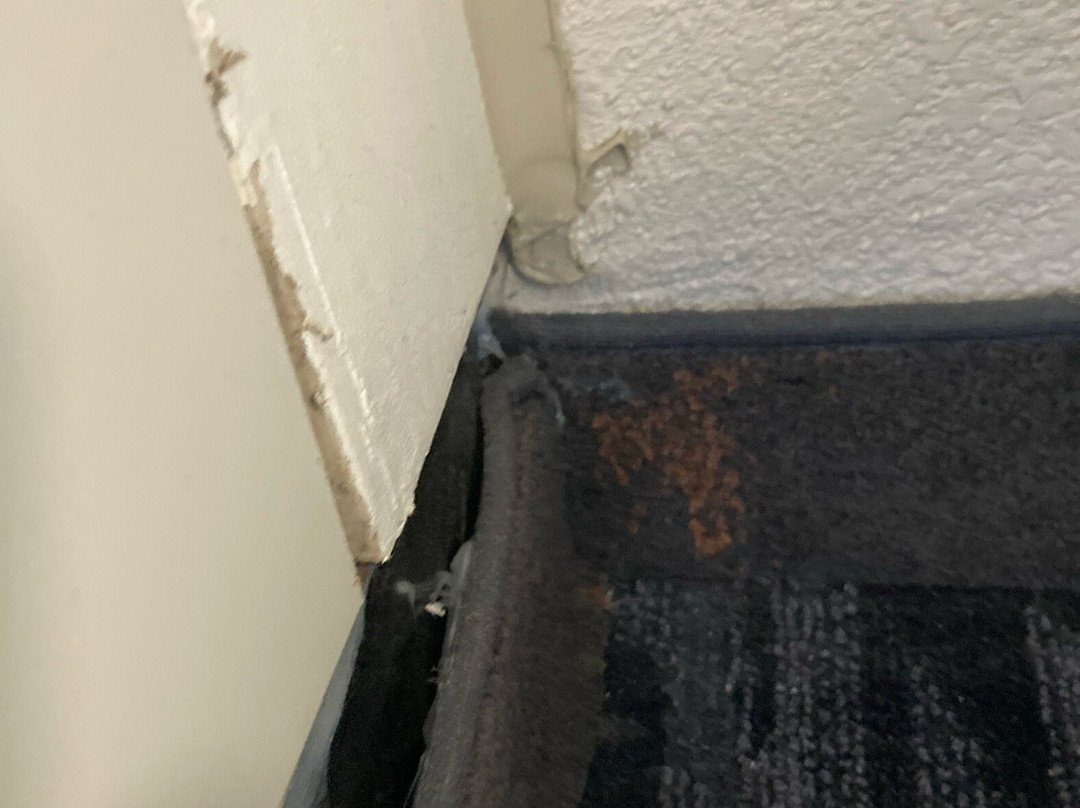 Residence Inn by Marriott Alexandria Old Town/Duke Street主图