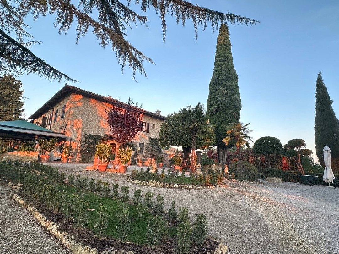 Il Casale del Cotone主图
