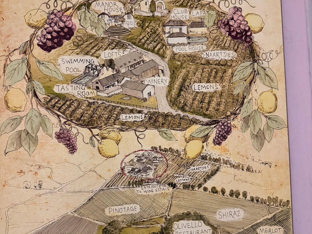 Marianne Wine Estate-斯泰伦博斯必去景点