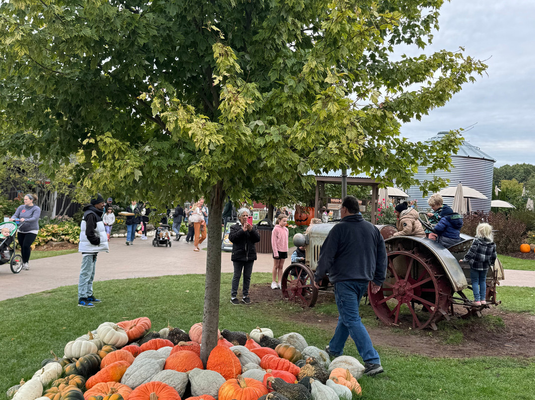 Lewis Adventure Farm & Zoo-New Era必去景点