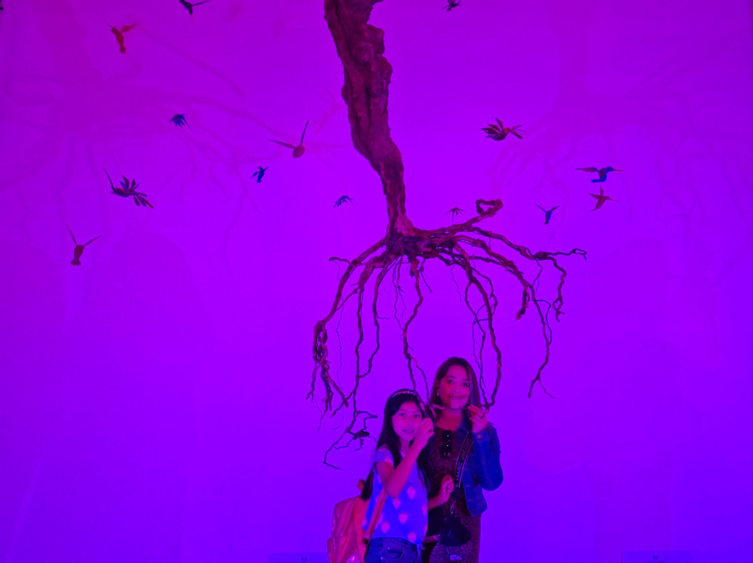 Bodegas De Santo Tomás-恩塞纳达必去景点