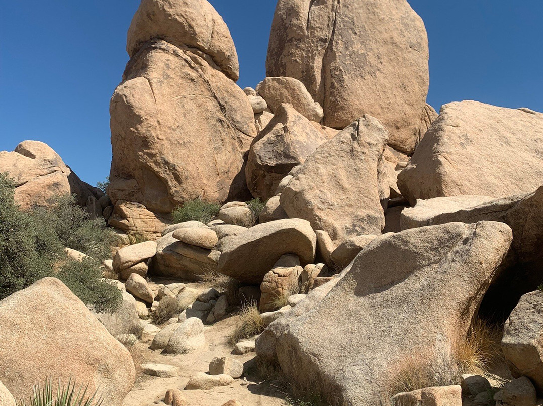 Mojave Desert-加利福尼亚必去景点