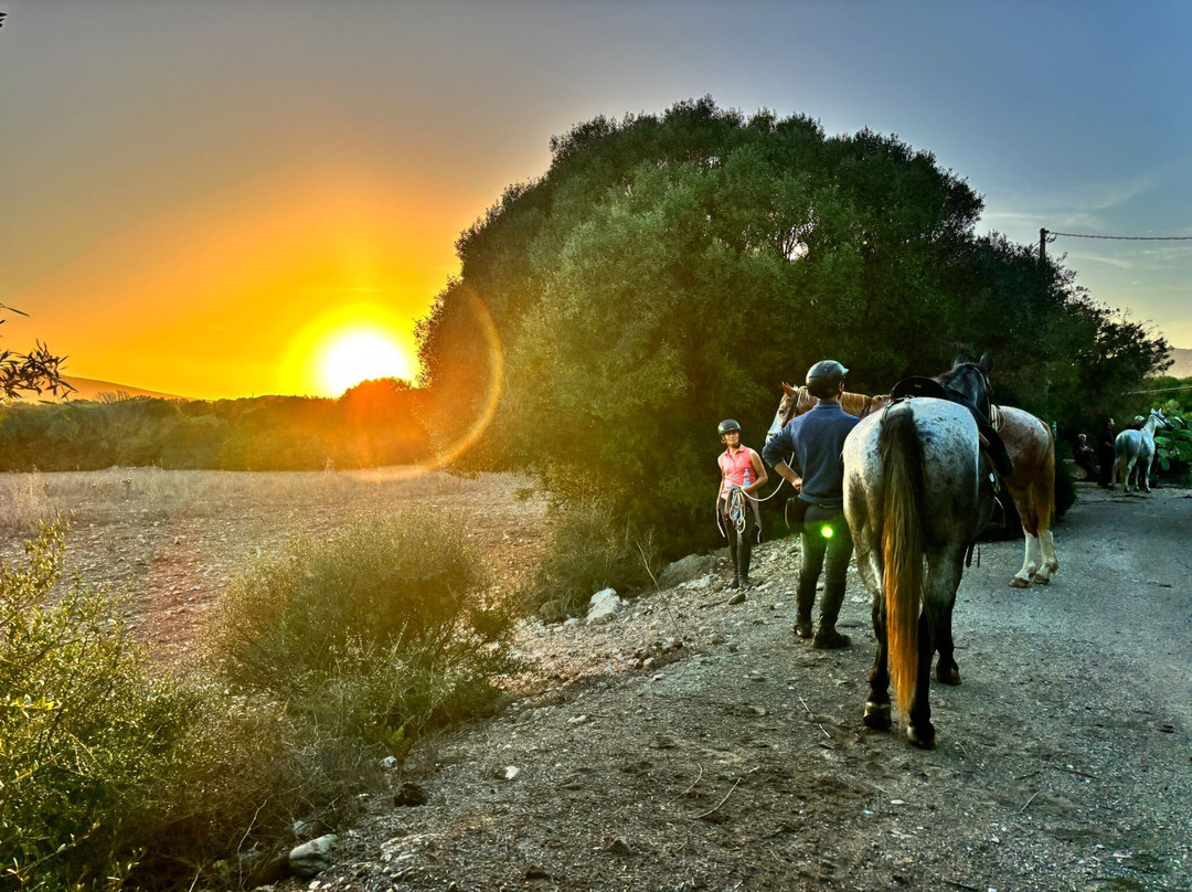 Maneggio Sulcis-San Giovanni Suergiu必去景点
