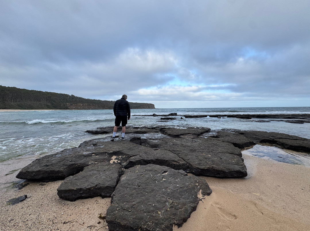 Murramarang National Park-East Lynne必去景点