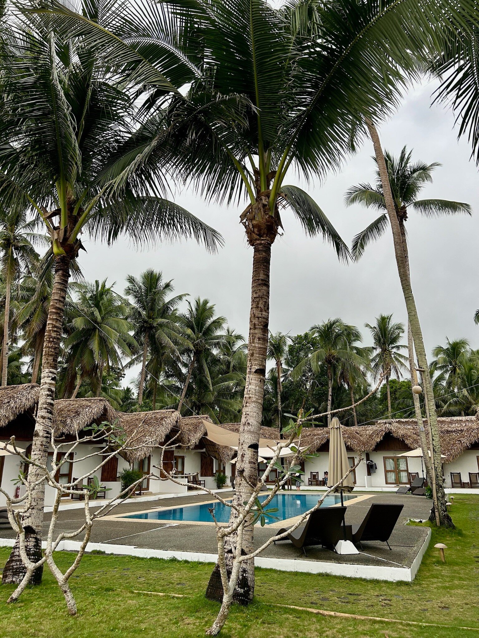 艾丽西亚海滩度假村-官方