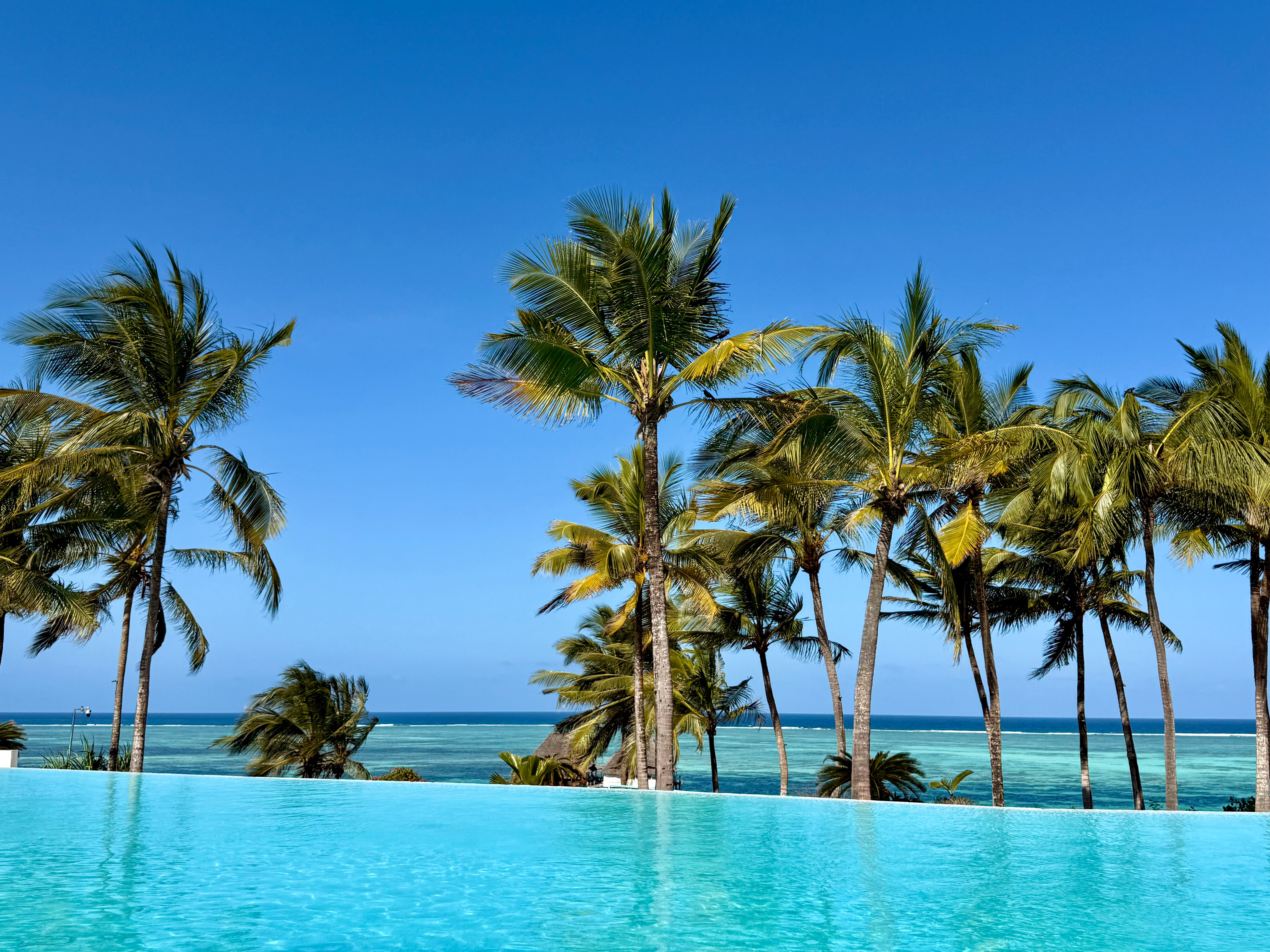 桑给巴尔美利亚酒店-官方