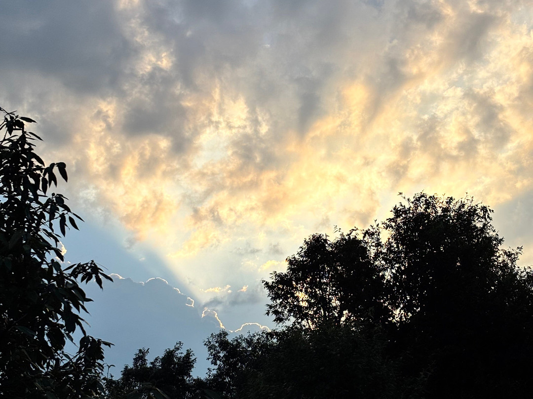 Dharohar Retreat主图