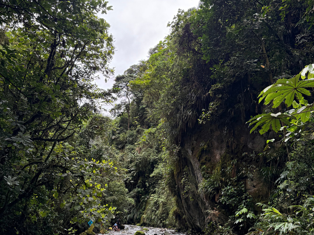 Catarata Río Agrio-Bajos del Toro必去景点