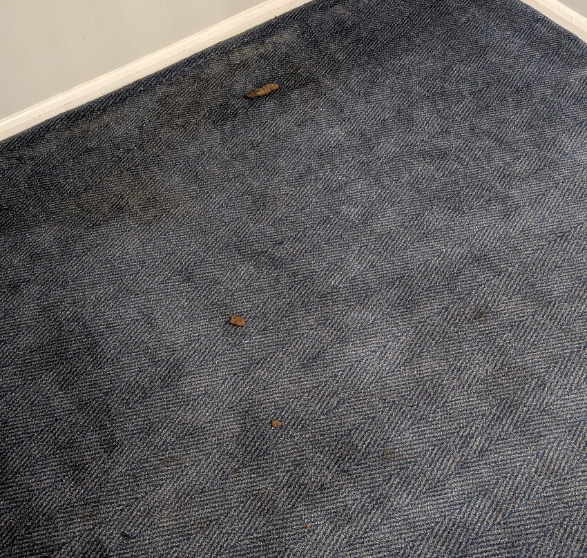 Travelodge Oxford Wheatley主图