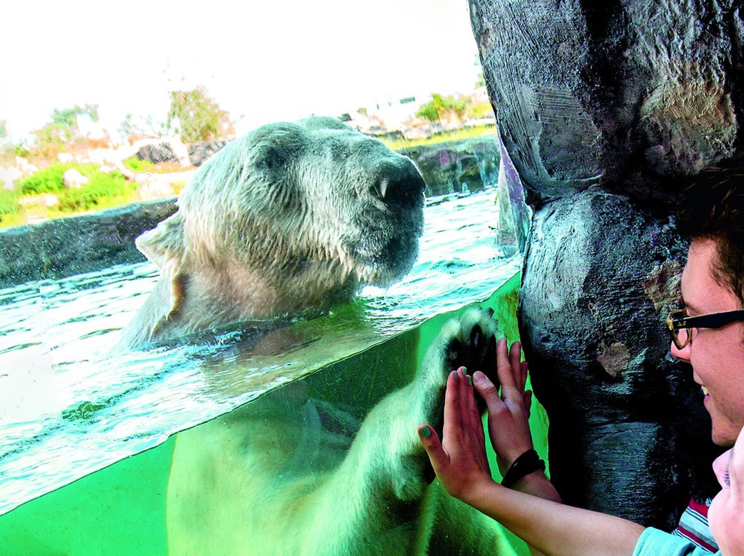 ZOOM Erlebniswelt_Official Site