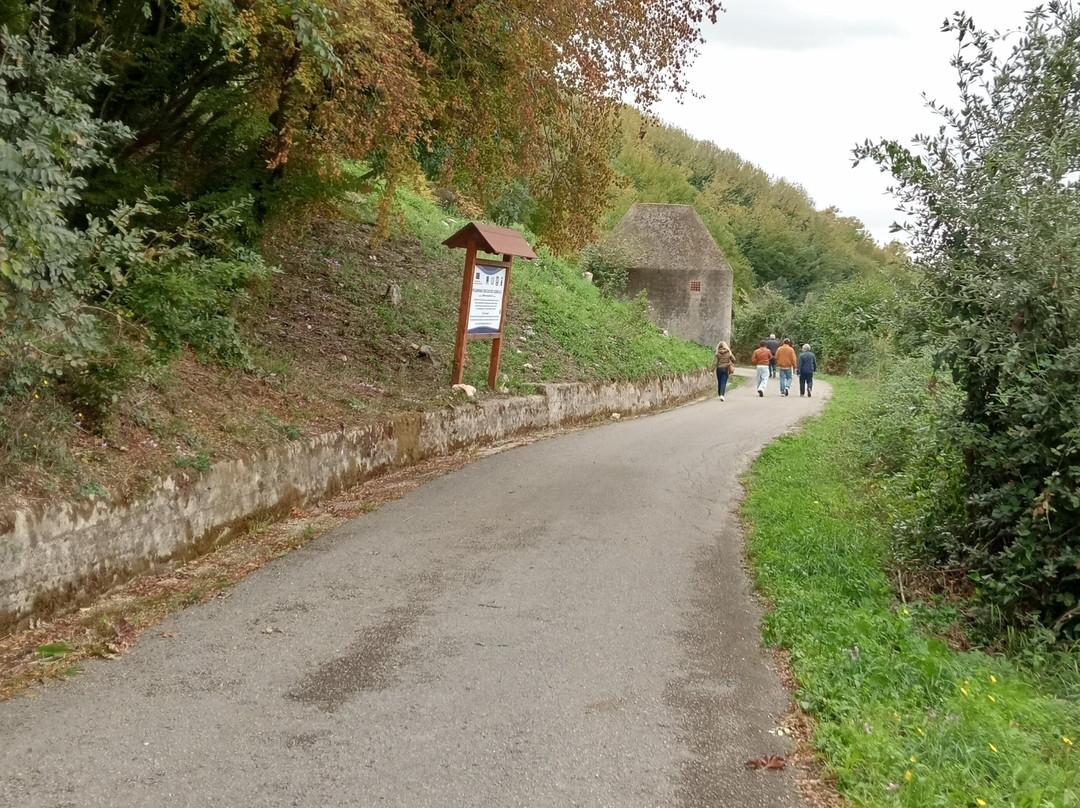 Strada dei Borboni Via Francigena Sud
