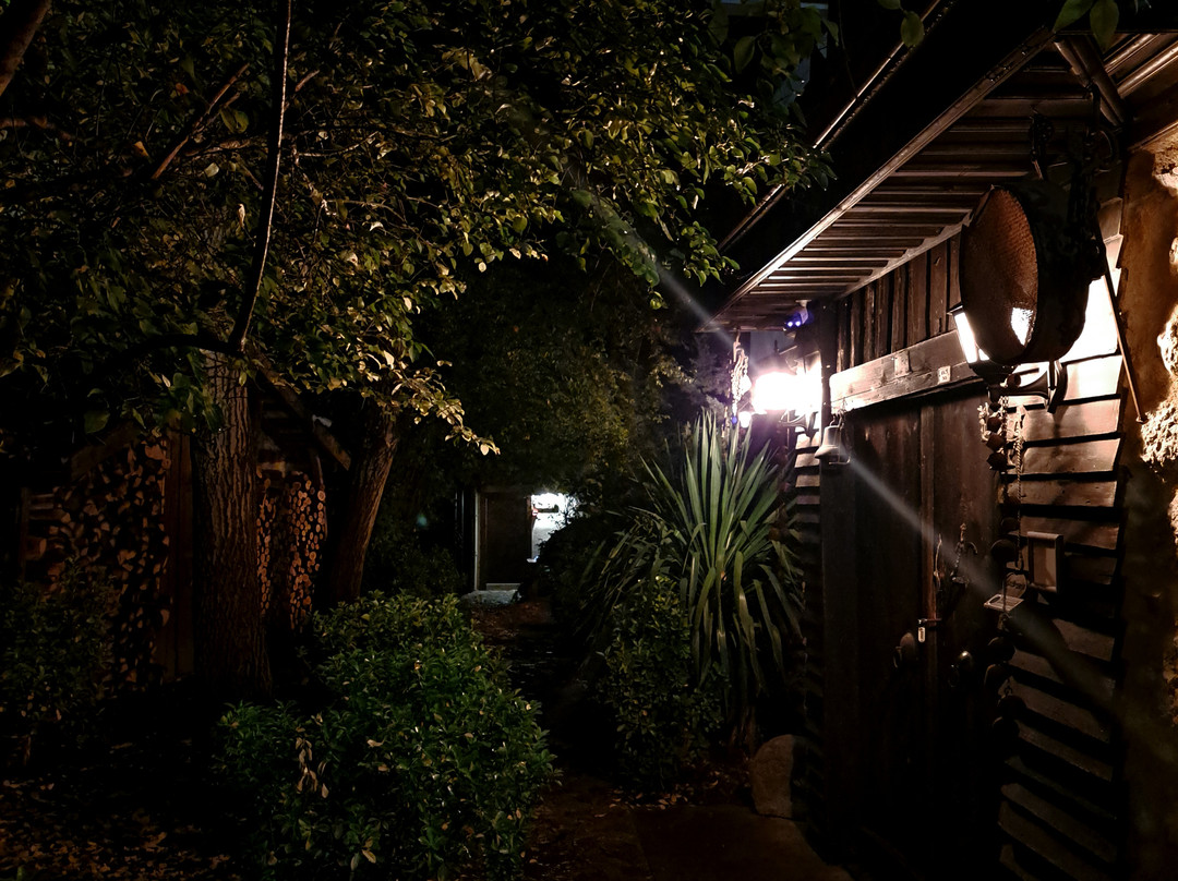 Yeşil Çizme Doğa Evi主图