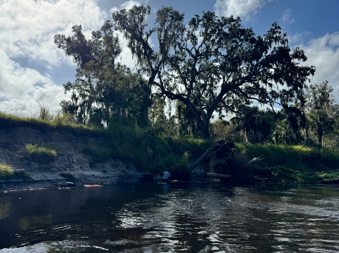 Fossil Funatics-达文波特必去景点