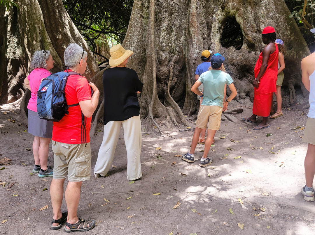 Casamance Au Present-济金绍尔必去景点