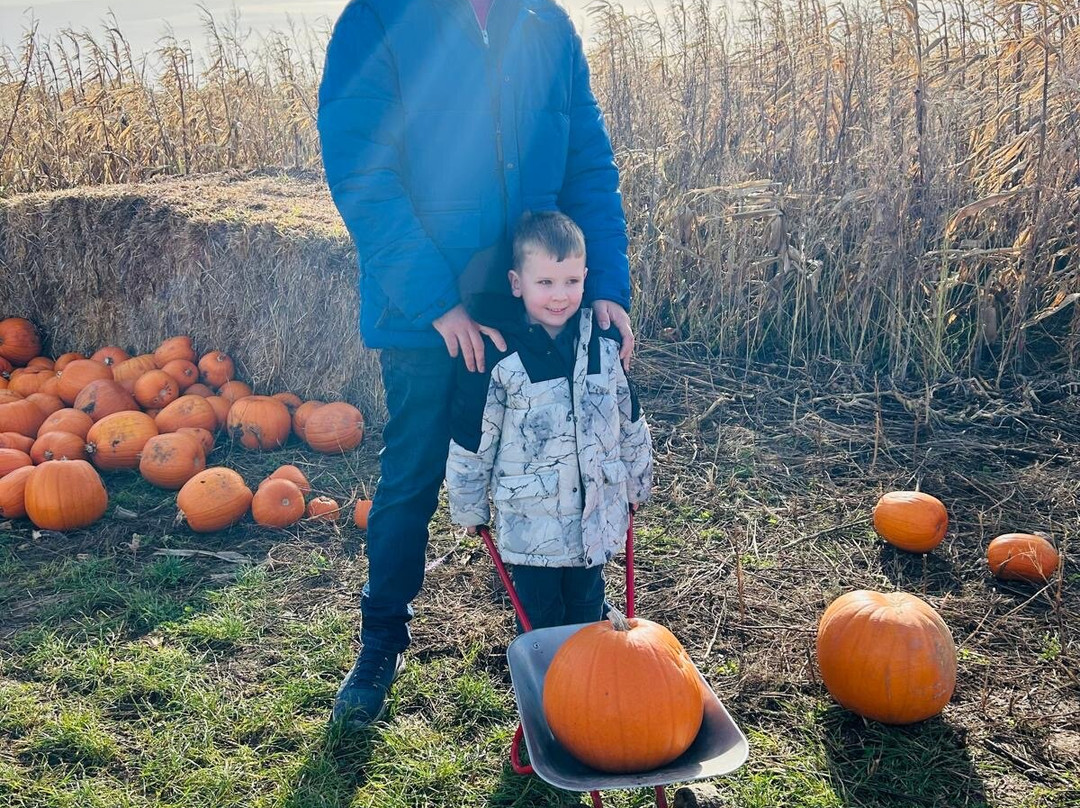 Hirsty's Family Fun Park-Hemsby必去景点