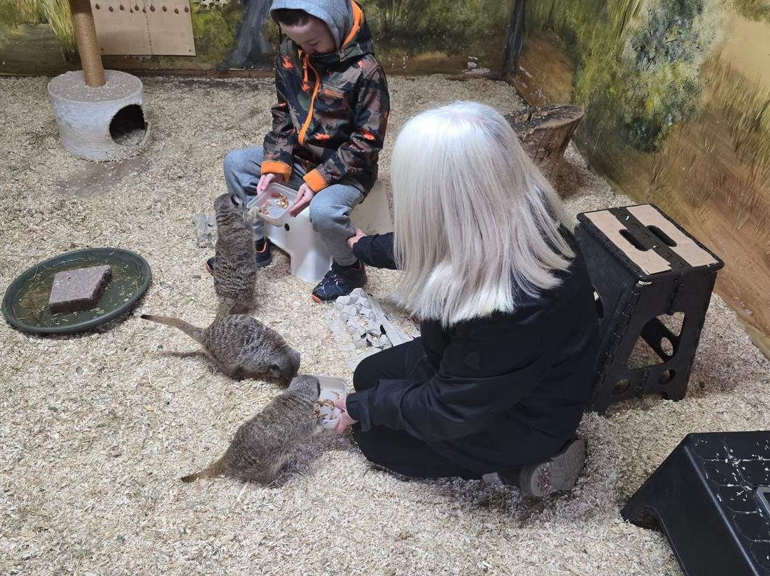 The Animal Experience-Stretham必去景点