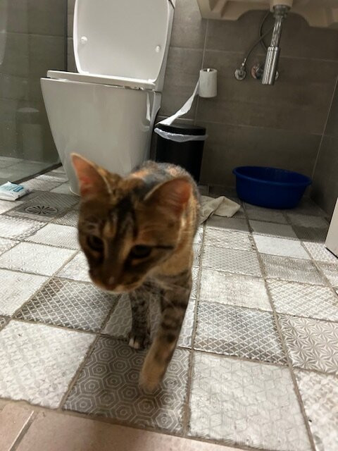 Big Blue Apartments主图