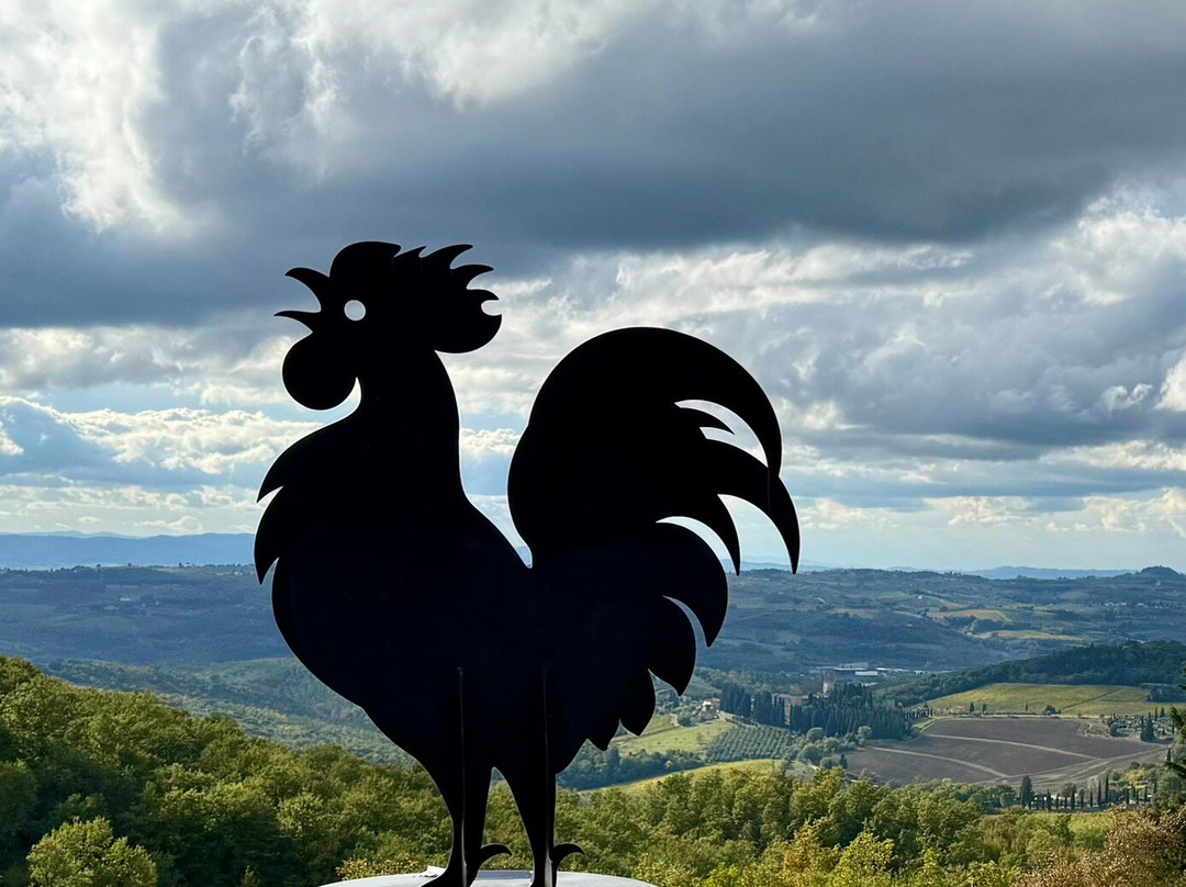 Private Driver Walter Occhini-里窝那必去景点