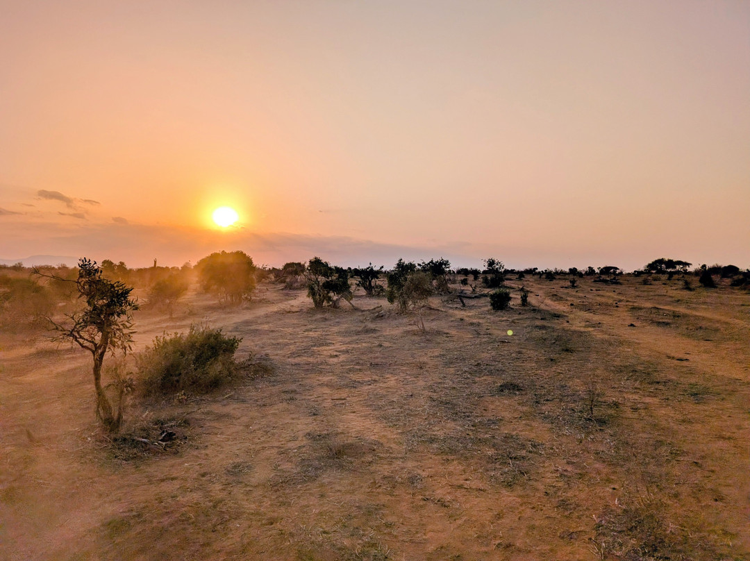 Oranje Safari-迪亚尼必去景点