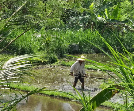 Guide Francophone à Bali - Madé B et équipes-沙努尔必去景点
