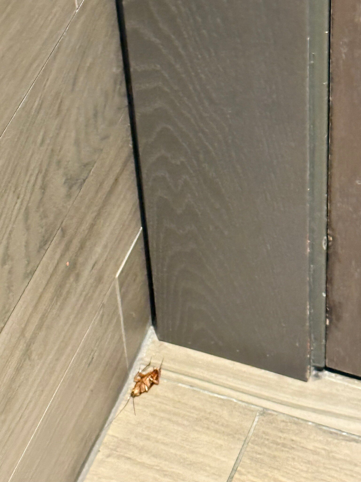 东迈阿密酒店-官方