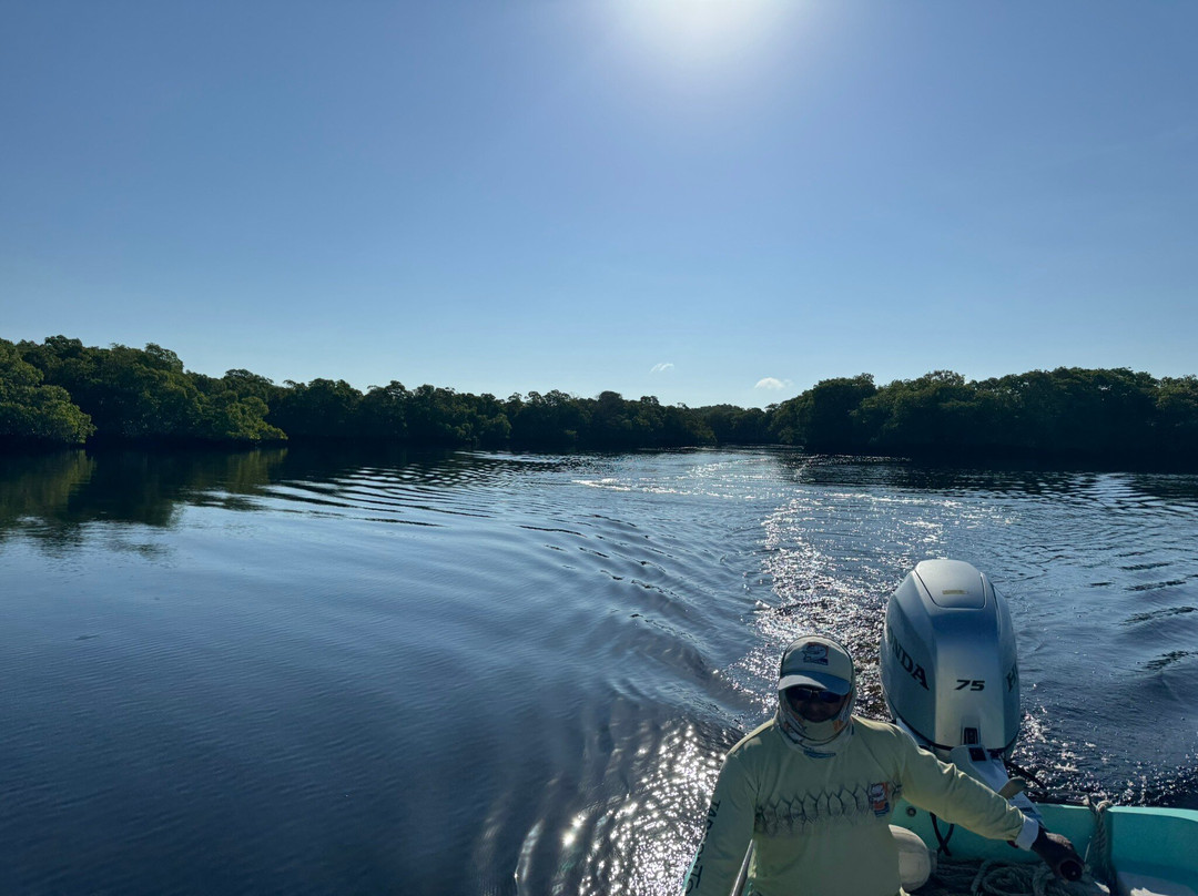 Tarpon Town Anglers-坎佩切州必去景点
