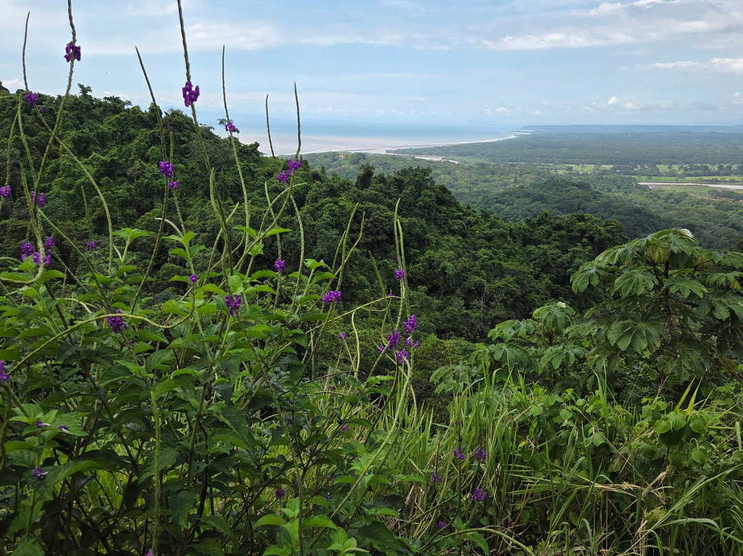 Greenway Nature Day Tours-利蒙港必去景点