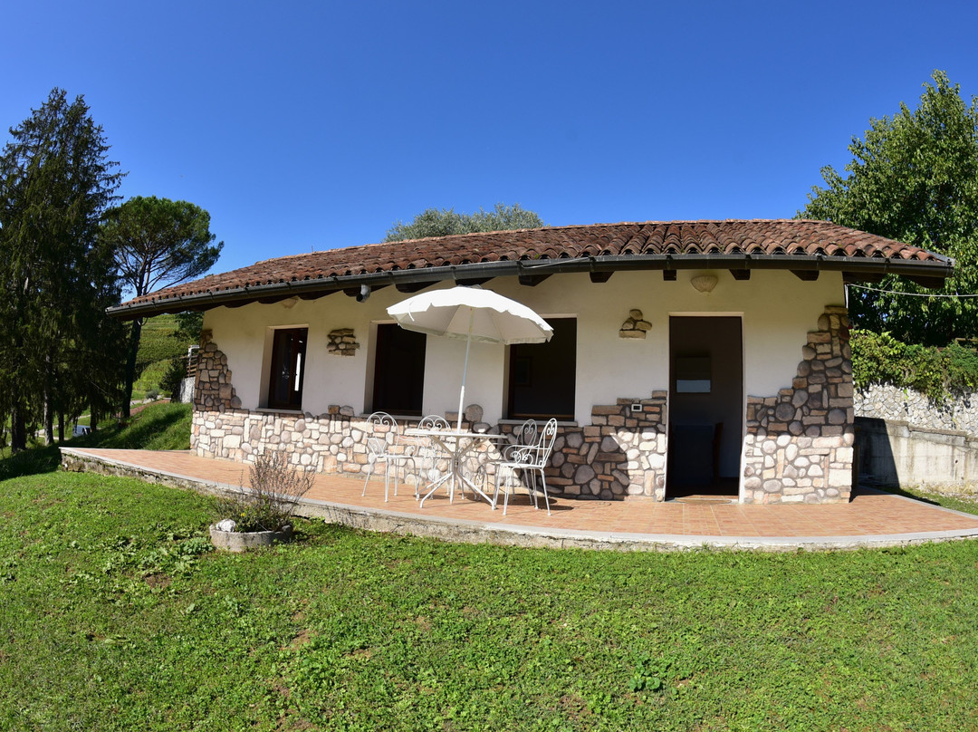 Tenuta Valdomini主图