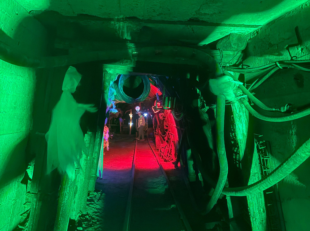 Erlebnisbergwerk Velsen-萨尔布吕肯必去景点