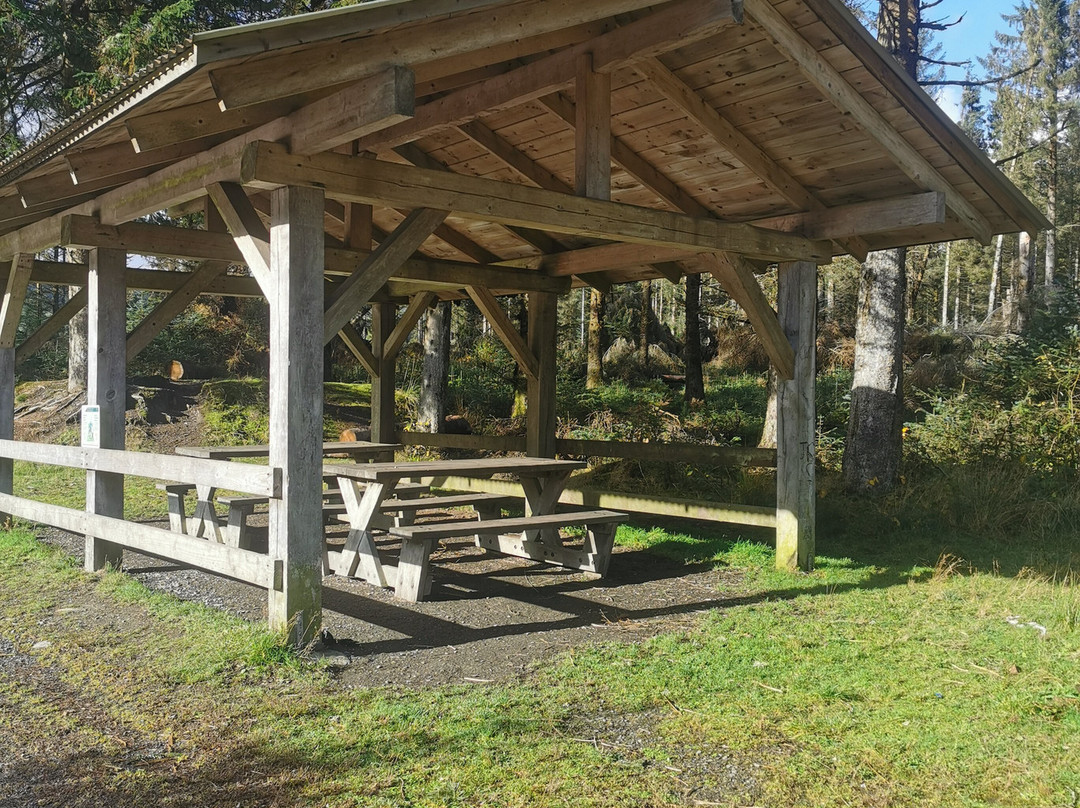 Hafren Forest-Llanidloes必去景点