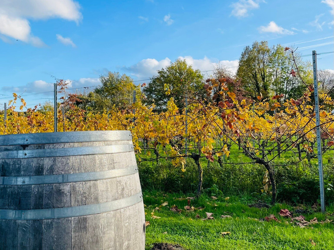 St. Martinus-Vijlen必去景点