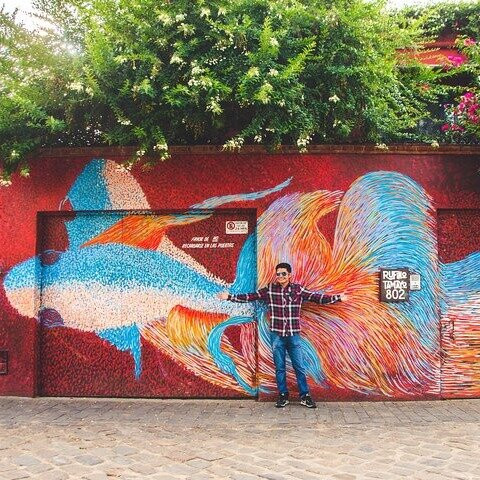 Tour in the historical center of Oaxaca-瓦哈卡必去景点