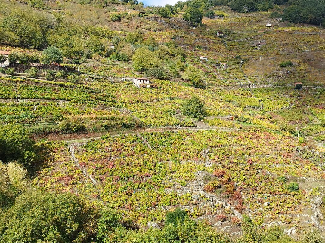 Via Romana Adegas e Vinedos-Chantada必去景点