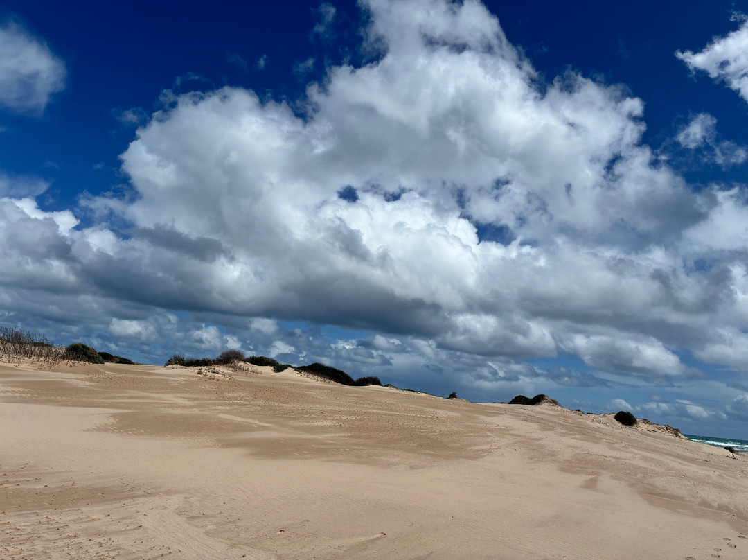 Spirit of the Coorong Cruises-Goolwa必去景点